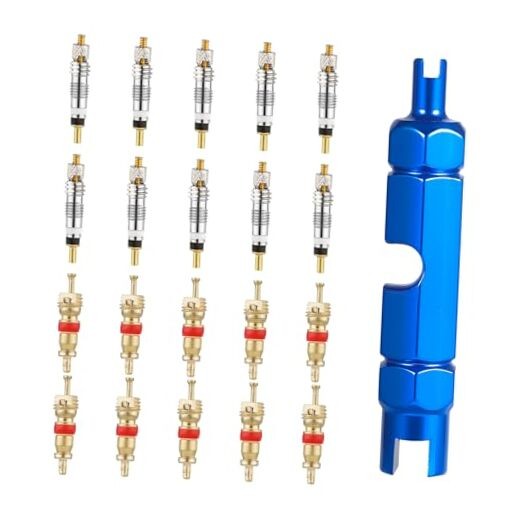 20pcs Valve Core for Presta & Schrader, Tubeless Valve Core Bike Replacement