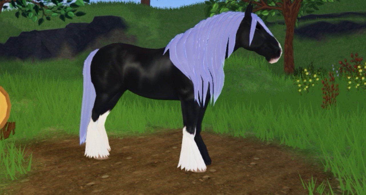 2 shire for 90 or best offer