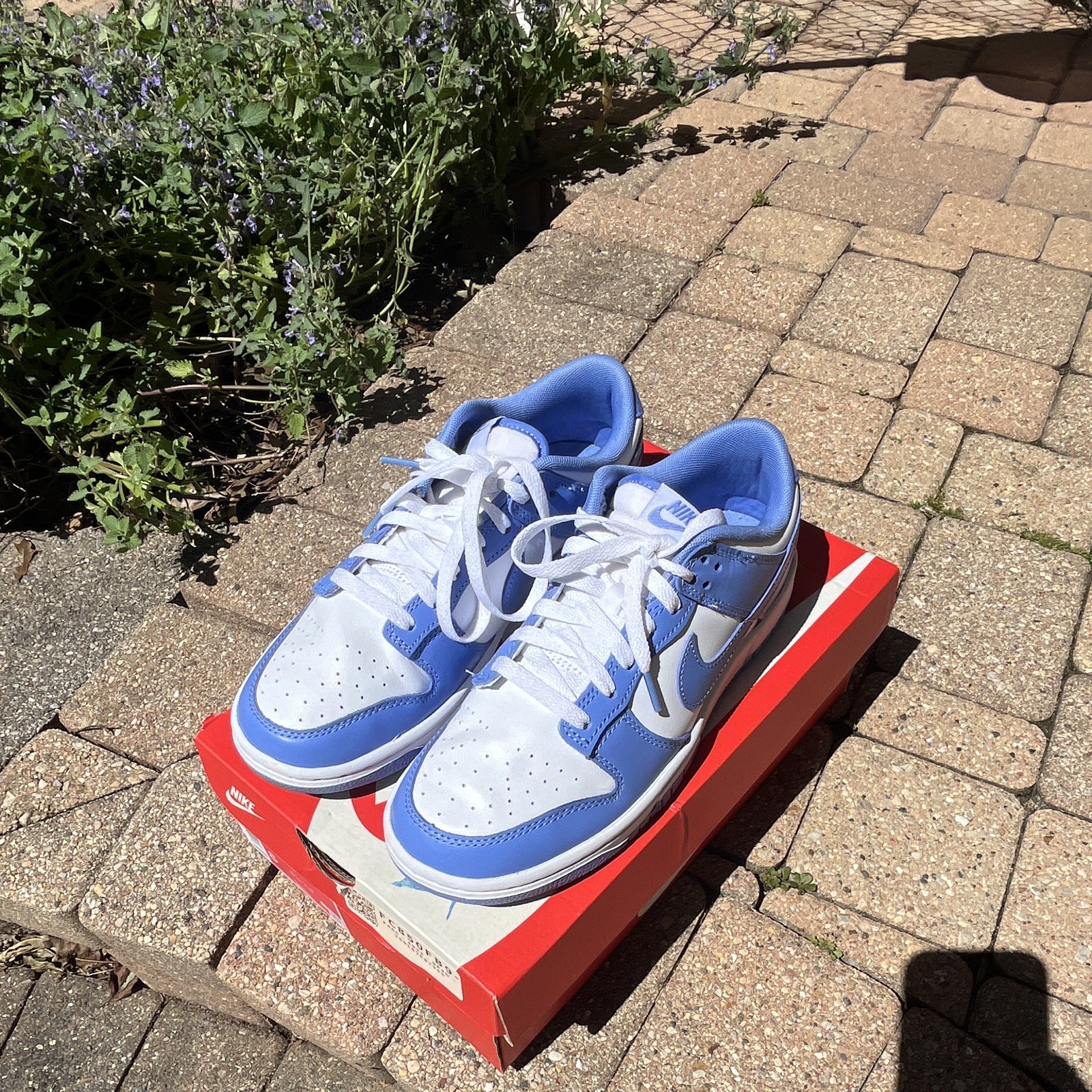 Nike Dunk Low Retro Low Top Polar Blue/White Men’s Sneakers DV0833-400 2023