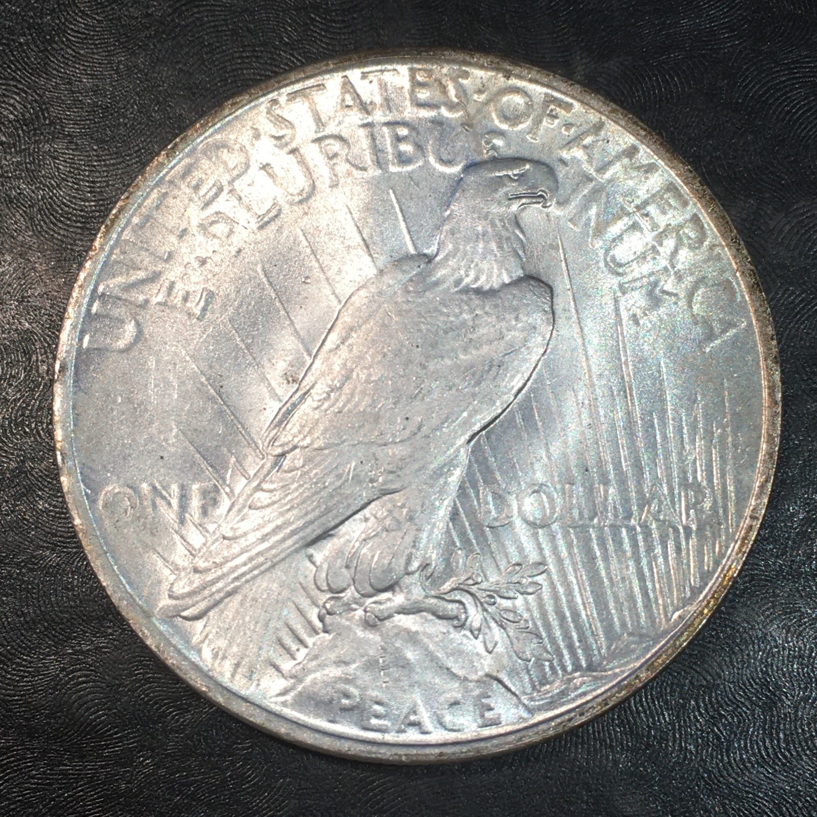 1923 Peace Silver Dollar - High Quality Scans #Q771