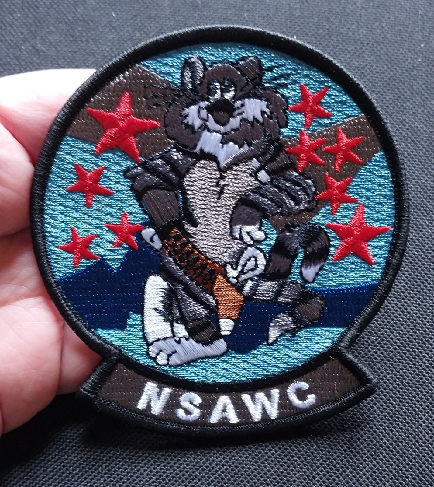 TOMCAT PATCH ~ NSAWC ~ Naval Strike and Warfare Center  ~ US Military Navy Patch