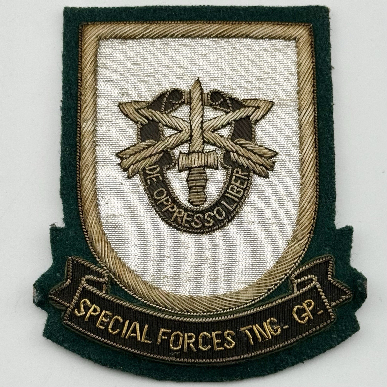 Special Forces Training Group Bullion Patch Blazer Display Vietnam Era