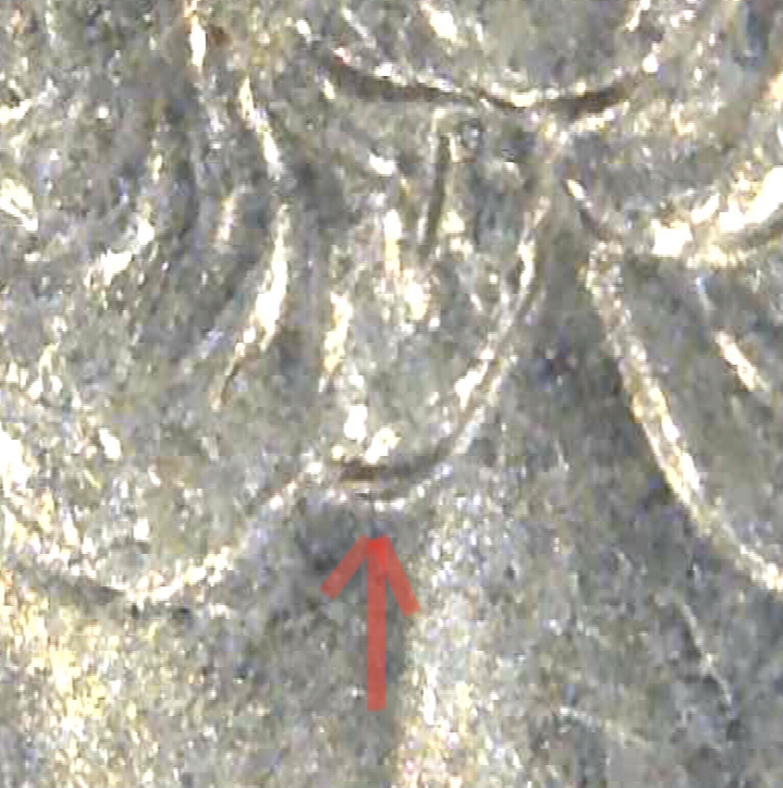 2008 P New Mexico NM State Quarter DDO Doubled die Obverse double earlobe