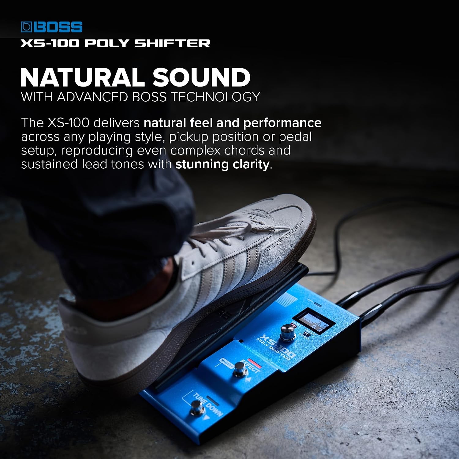 XS-100 Poly Shifter Advanced Pitch Shifting Workstation