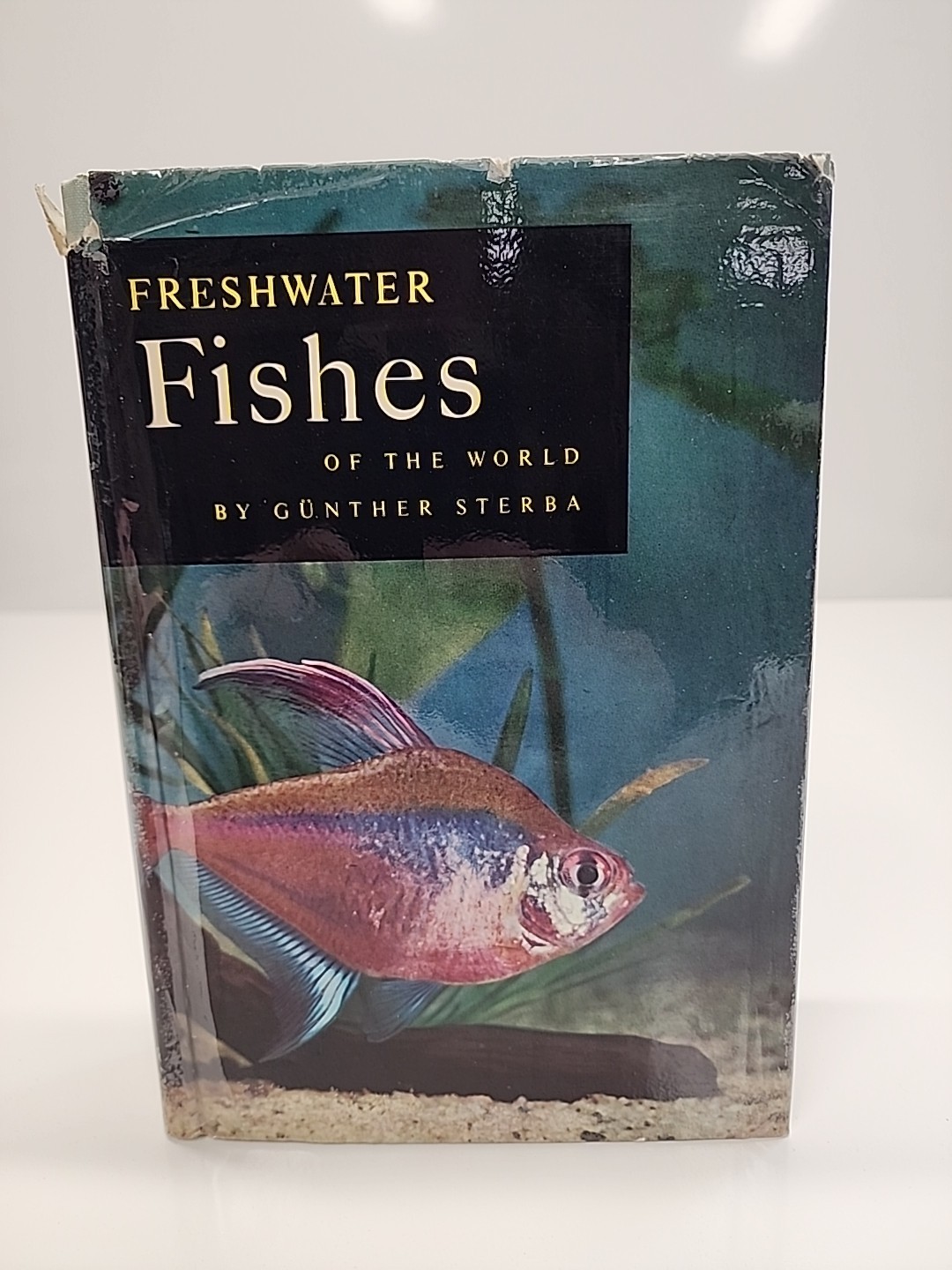 1965 Freshwater Fishes of the World - Gunther Sterba Zoology Pet Library Revised