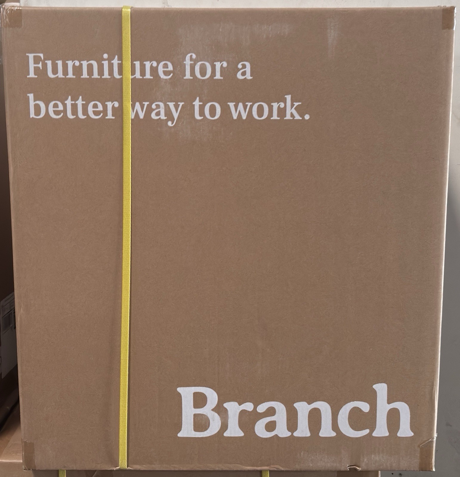 Branch Ergonomic Chair Black Mesh Adjustable Lumbar 8-Point Home Office Chair
