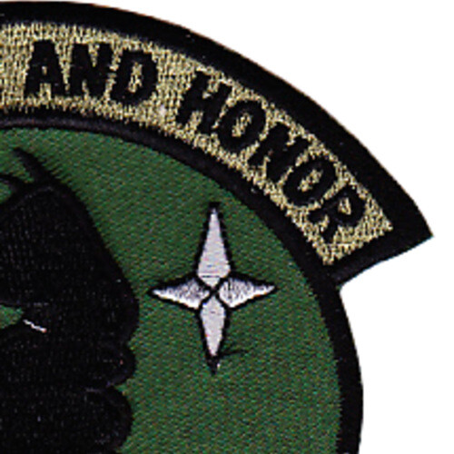 31st Rescue Squadron Patch
