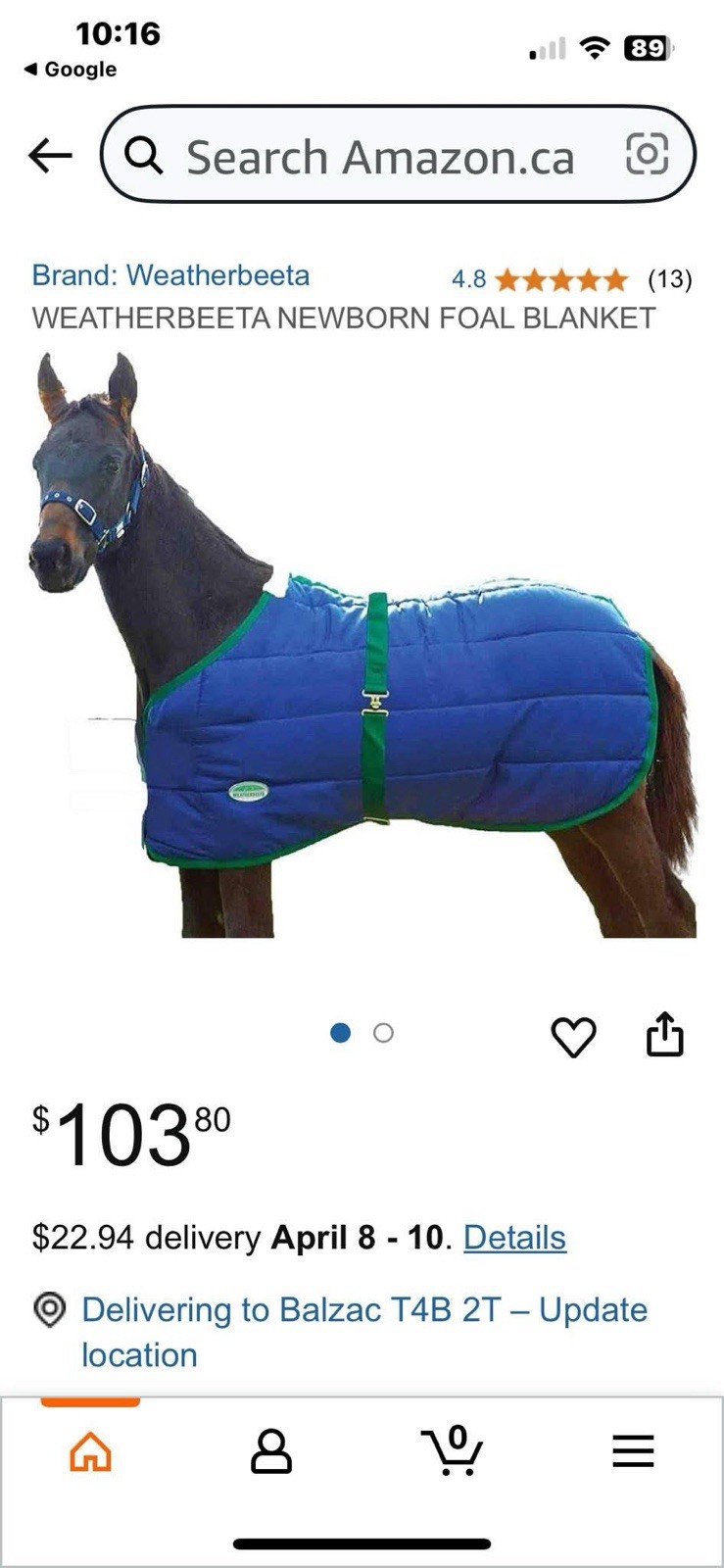 WeatherBeeta 420D Foal Standard Neck Medium Weight Blanket New