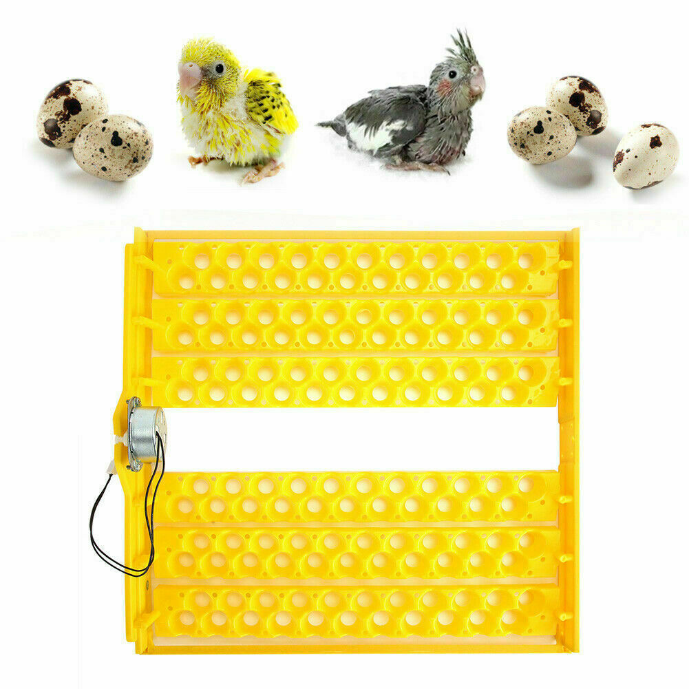 132pcs Quail Egg Automatic Egg Turner Tray for Auto Incubator Machine HD MG