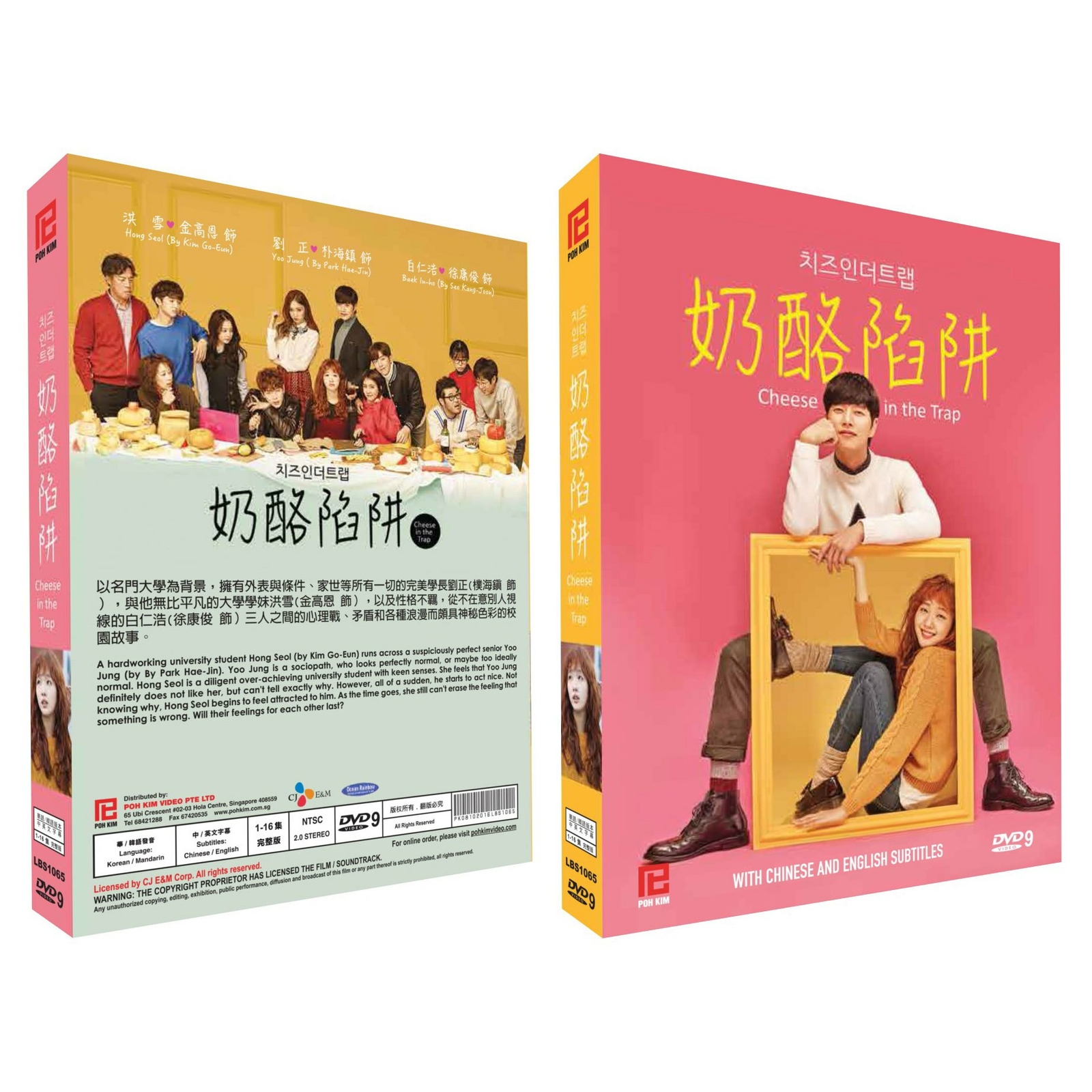 CHEESE IN THE TRAP Korean Drama TV Series DVD with English Subtitles (K-Drama)