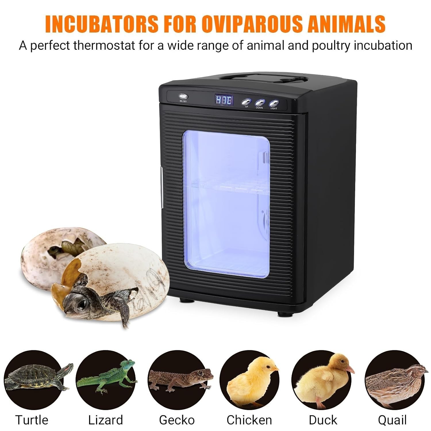 25L-small Reptile Incubator Hatching Eggs Temperature Controlled 5c-60c Home