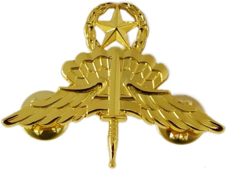 US Army FREE FALL JUMP WINGS MASTER BADGE CAP PIN INSIGNIA golden