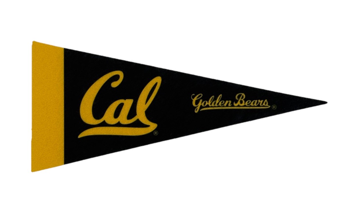 California Golden Bears Cal Mini Pennant 4”x9" ACC Felt Flag Cal Basketball New