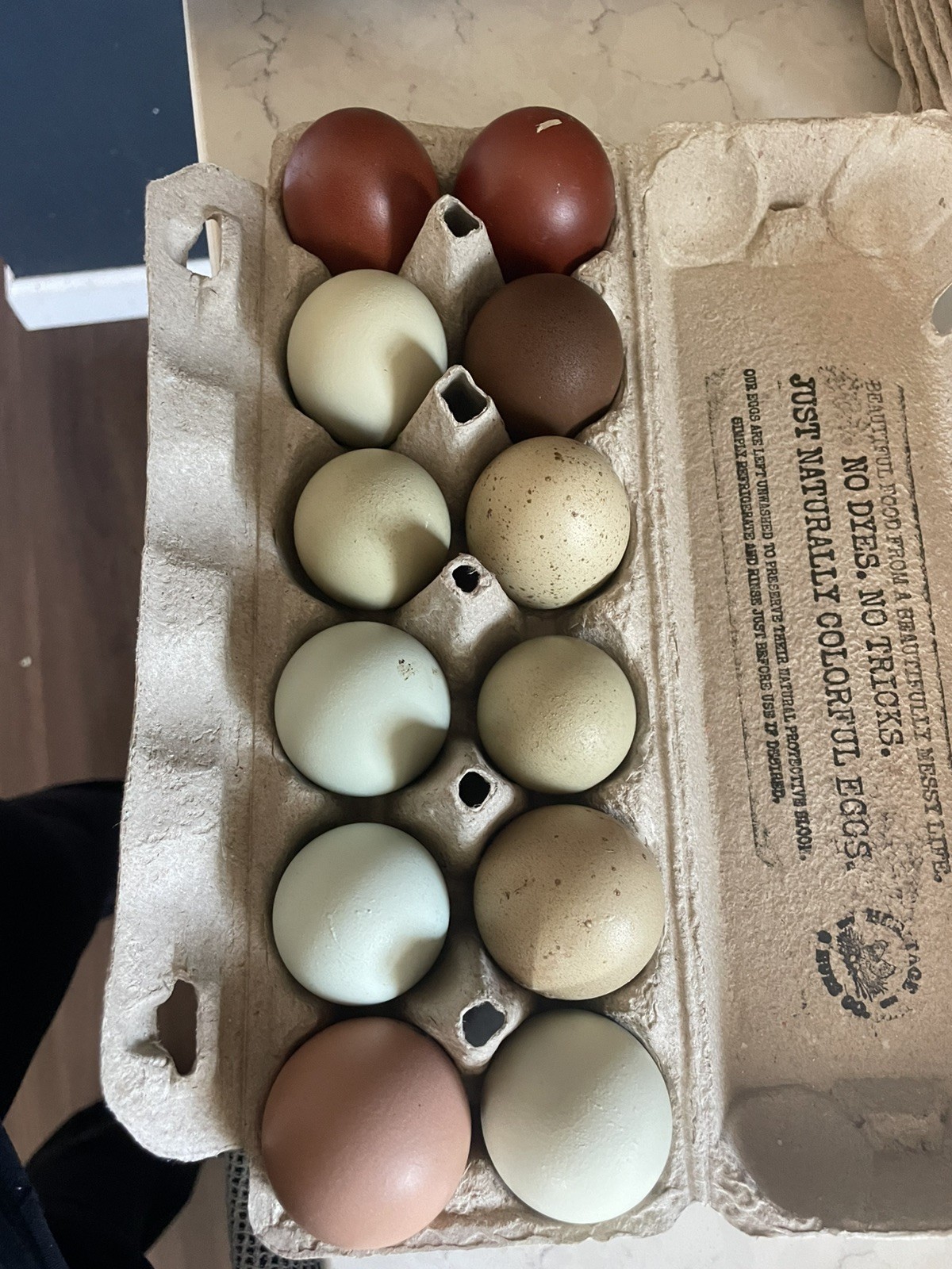12 Rainbow Chicken Hatching EGGS. Olive EGGER. Multi GEN. BACKCROSS. SPECKLED