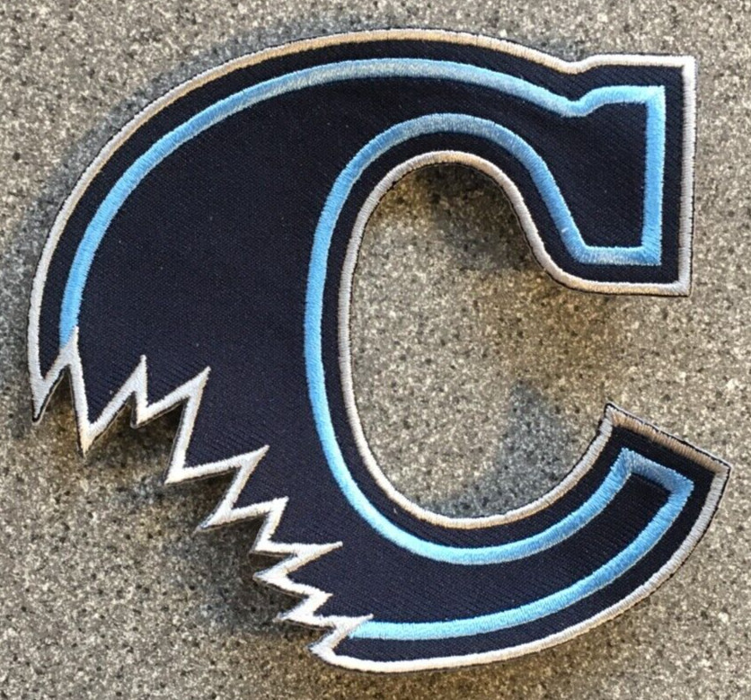 2001-15 CAMDEN RIVERSHARKS ATLANTIC MINOR LEAGUE BASEBALL 3.75" TEAM LOGO PATCH