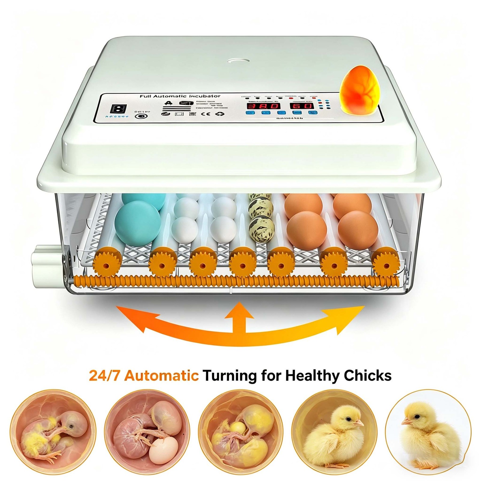 36 Eggs Auto Digital Incubator Temperature Control Turning Chicken Poultry Bird