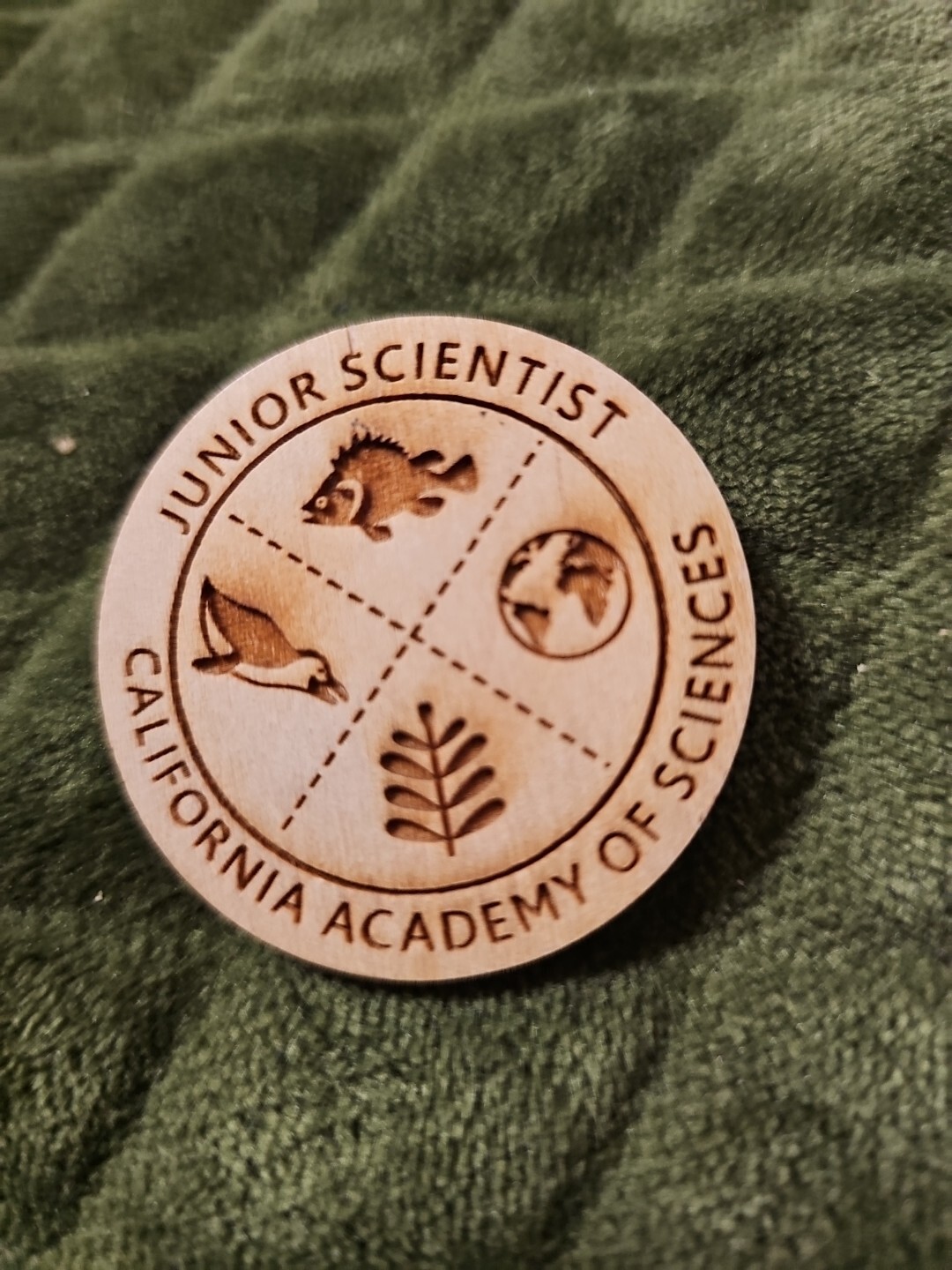 California Academy of Sciences Wooden pin badge