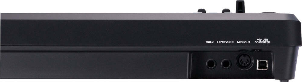 Roland A-49 MIDI Controller Keyboard - Black BONUS PAK