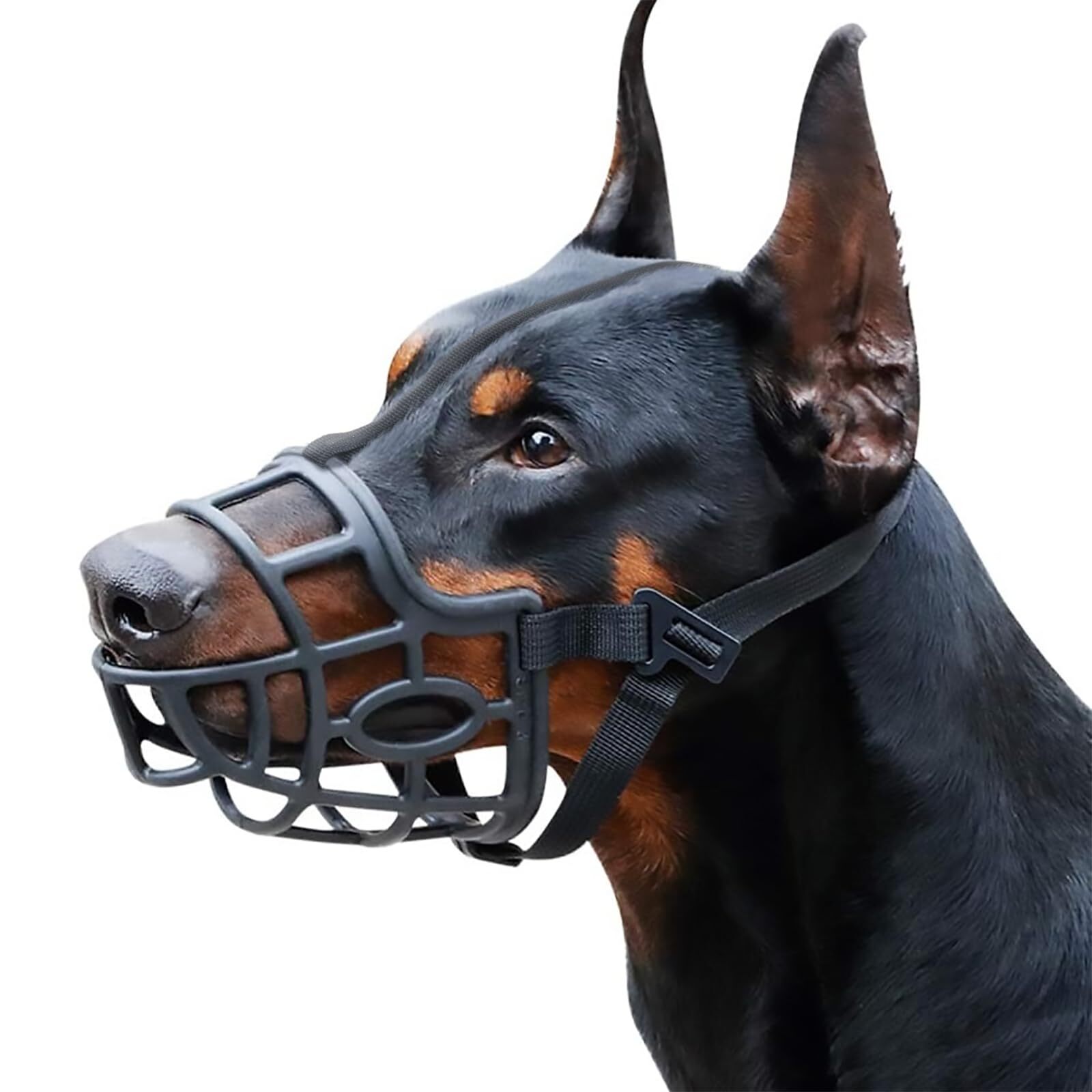 Dog Muzzle Breathable Basket Muzzles for Small Medium Large and X-Large Dogs ...