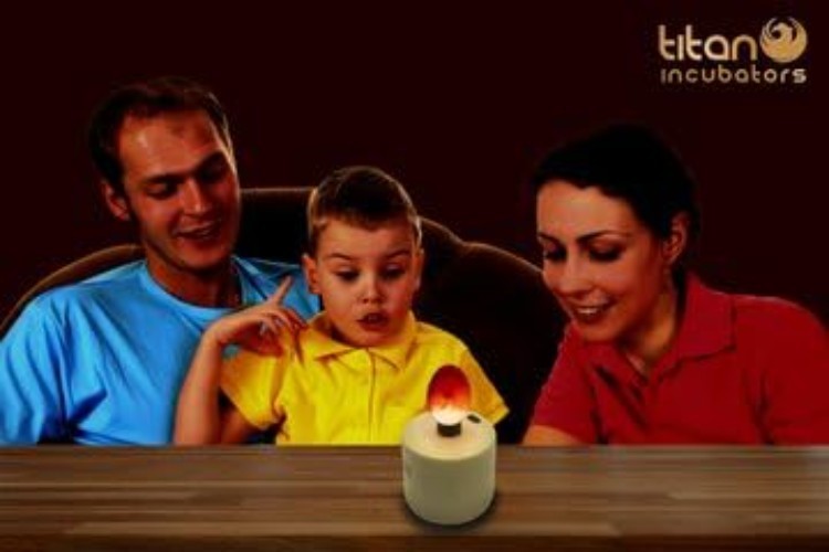 High Intensity LED Chicken Egg Candler/Tester – Battery Powered