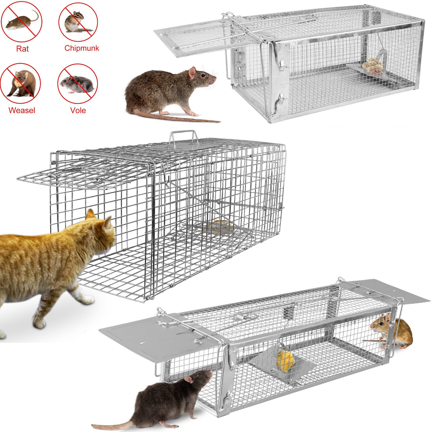 Animal Trap Humane Capture Steel Cage Rodent Control Squirrel Raccoon 1/2 Doors