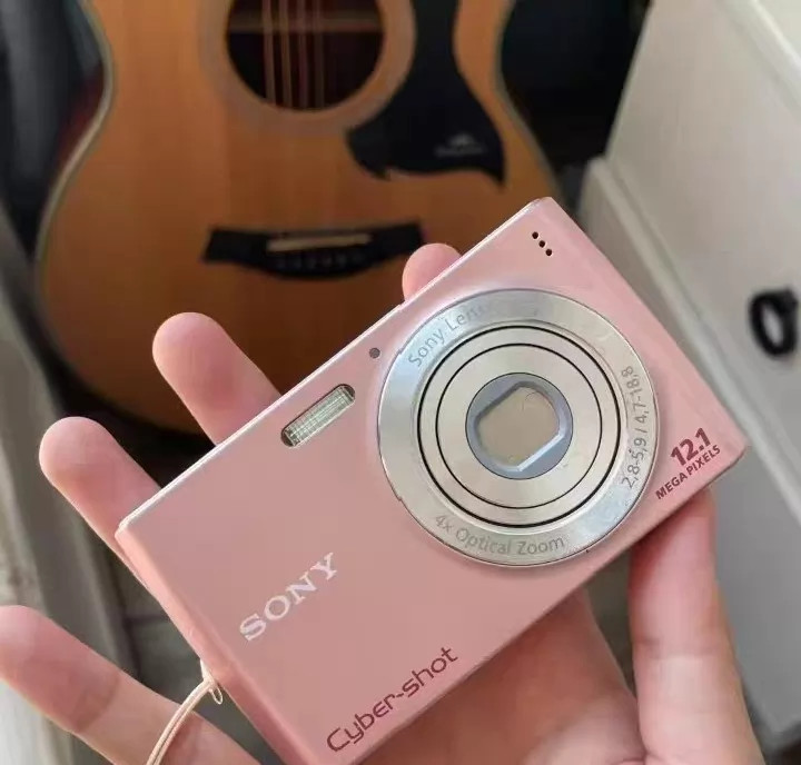 Sony Cyber-shot DSC-W510 12.1MP Digital Camera 4x Optical Zoom Panorama Pink