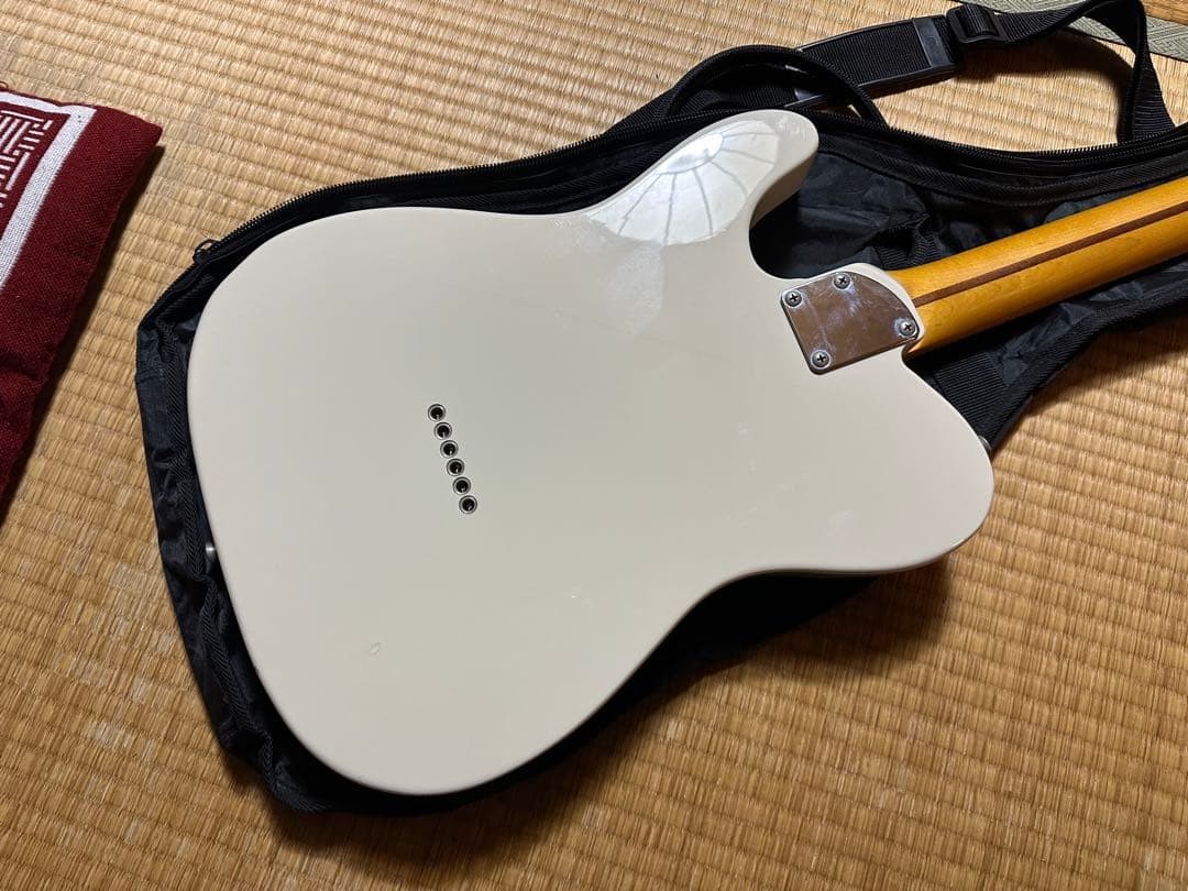Coolz ZTL-VM Telecaster Type Safe Packing!