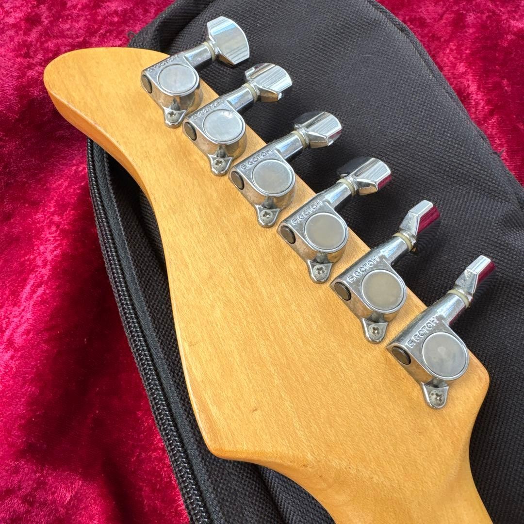 FERNANDES Japan APG-400 Single Ham Case Safe Packing!