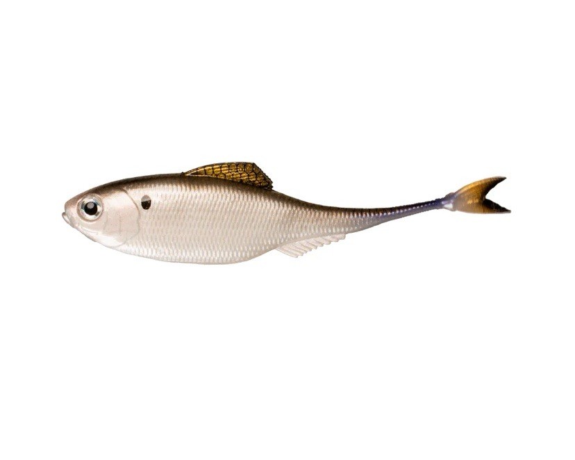 6th Sense Masterclass Fiction Shad 4.3 Fishing Lure 4K Shad 5pk