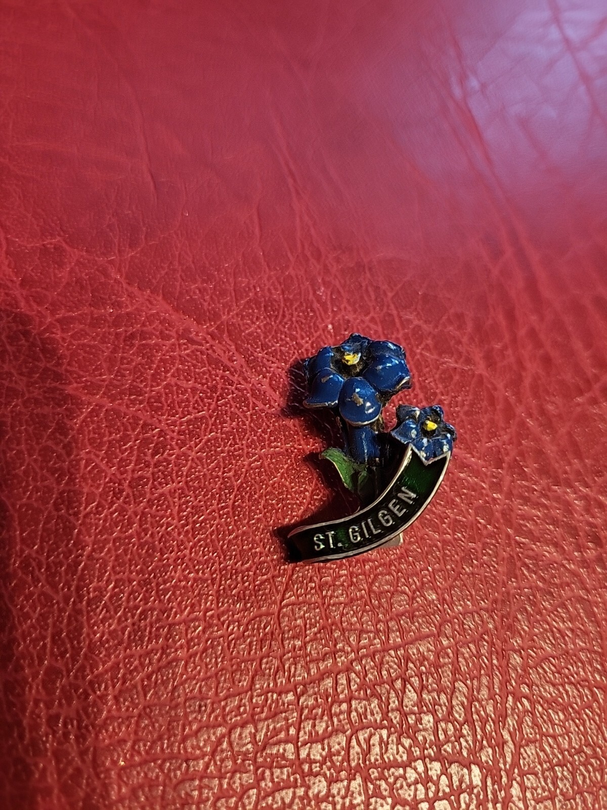 Pin Hatpin Hiking Pin Brooch St. Gilgen.