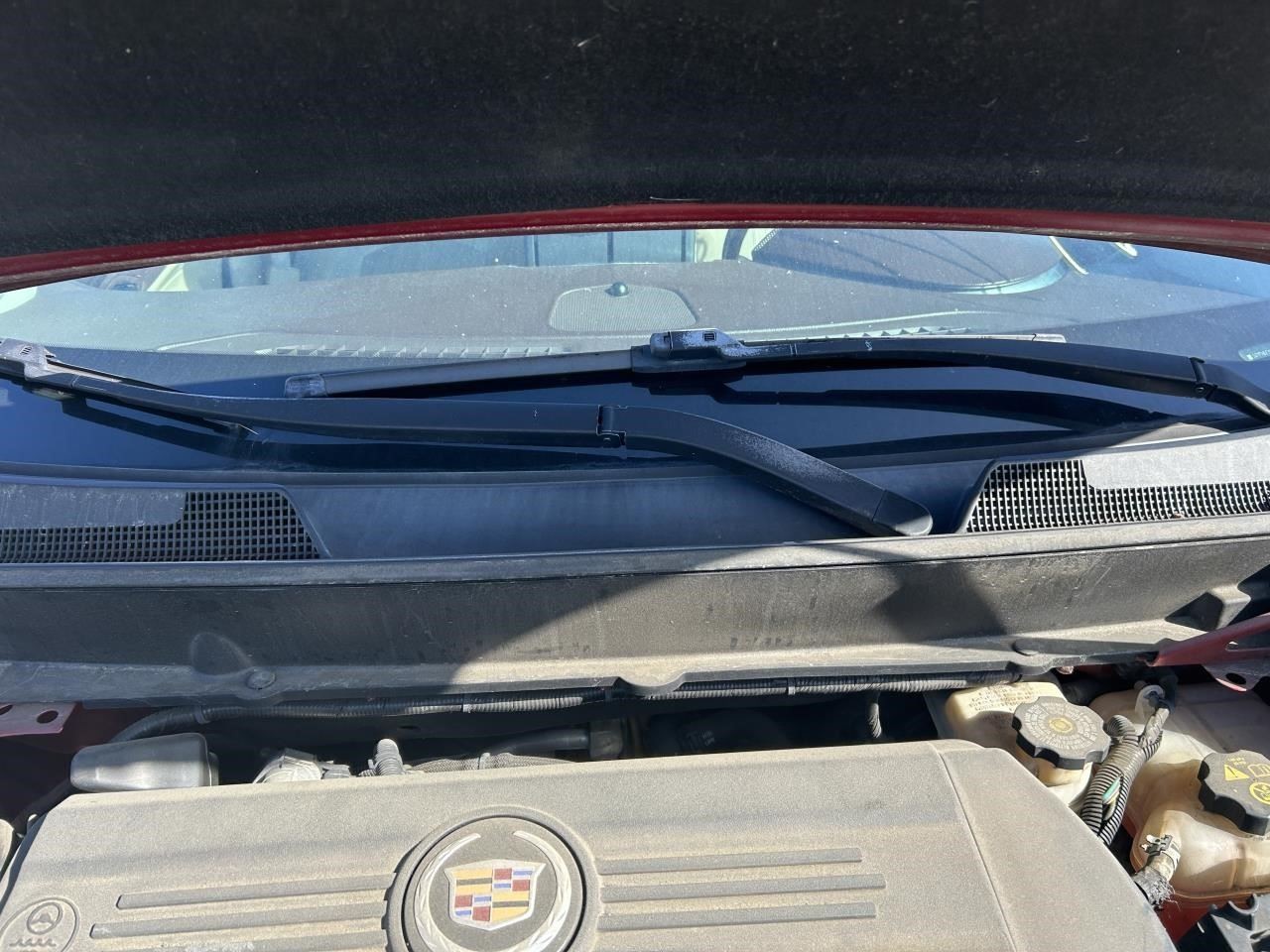 SRX 2011 Horn 104916238