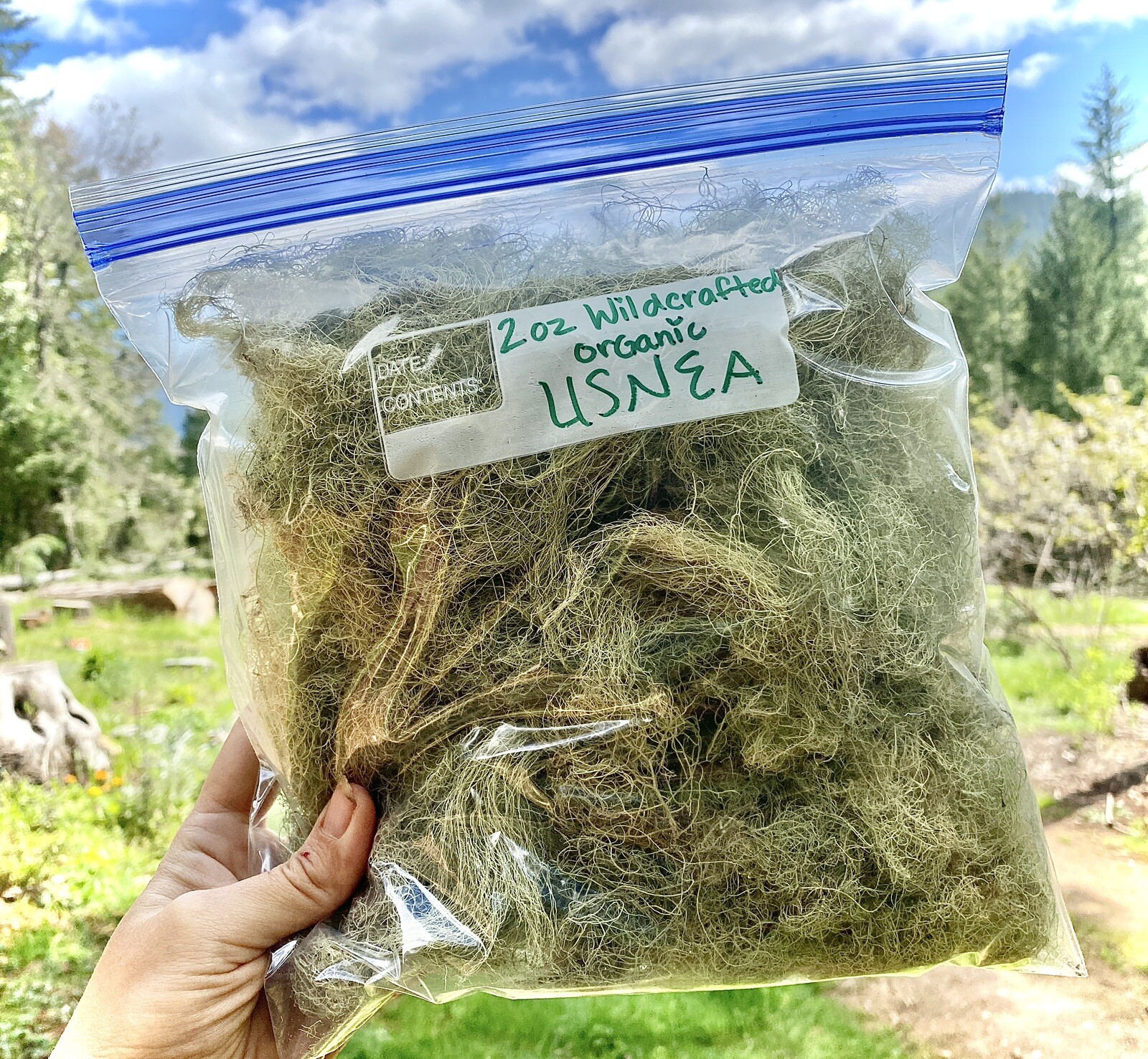 2oz Usnea Gallon Bag medicinal herbal First Aid Kit Antimicrobial Inflammation