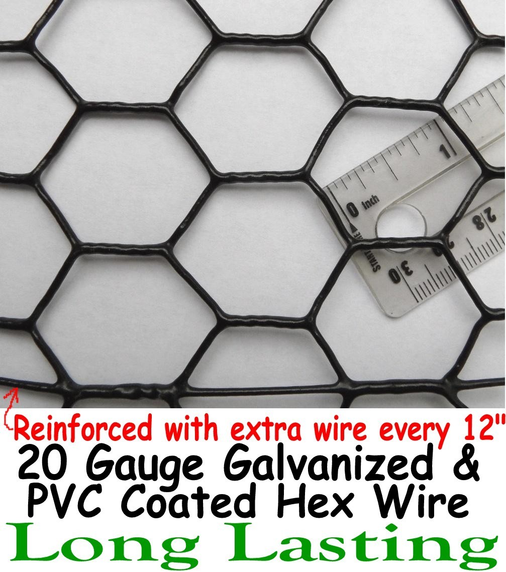 Pinnon Hatch Farms 1’ x 150’ PVC Coated 1” Hex UV-Stabilized Chicken Wire Fence