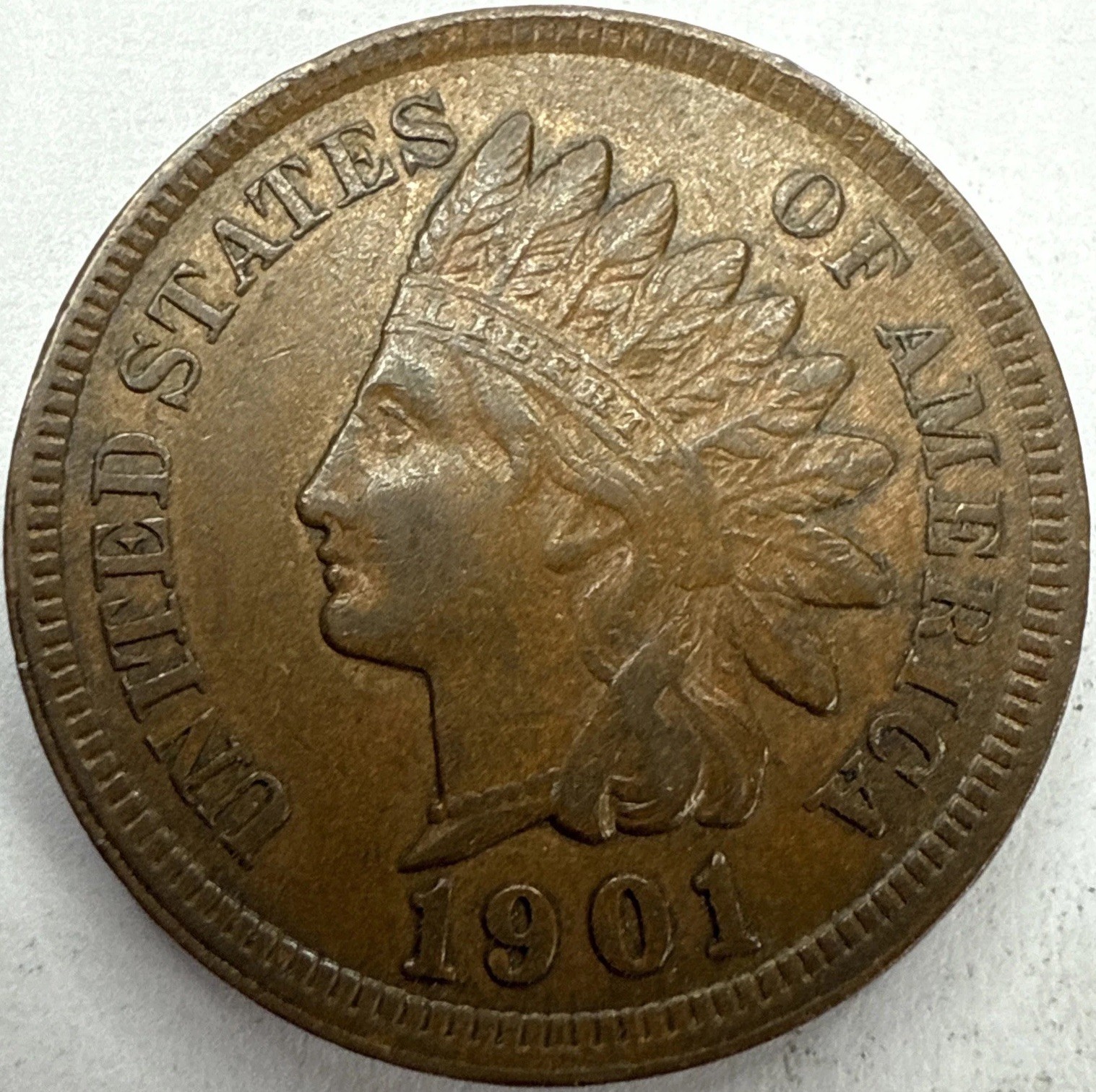1901 Indian Head Cent Exact Coin Imaged #IND1791