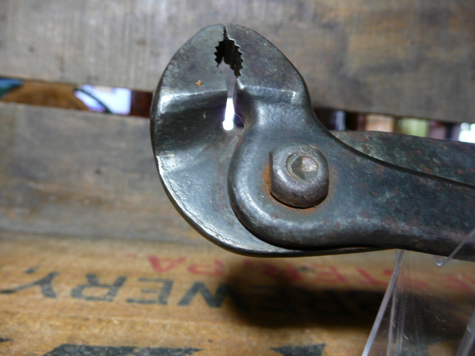 Carlson Parrot Head Battery Pliers.