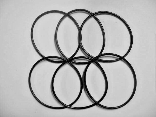 6 Standard 10" Housings O-Rings 200408 / Hague Water Max Sump / R&S 237HW