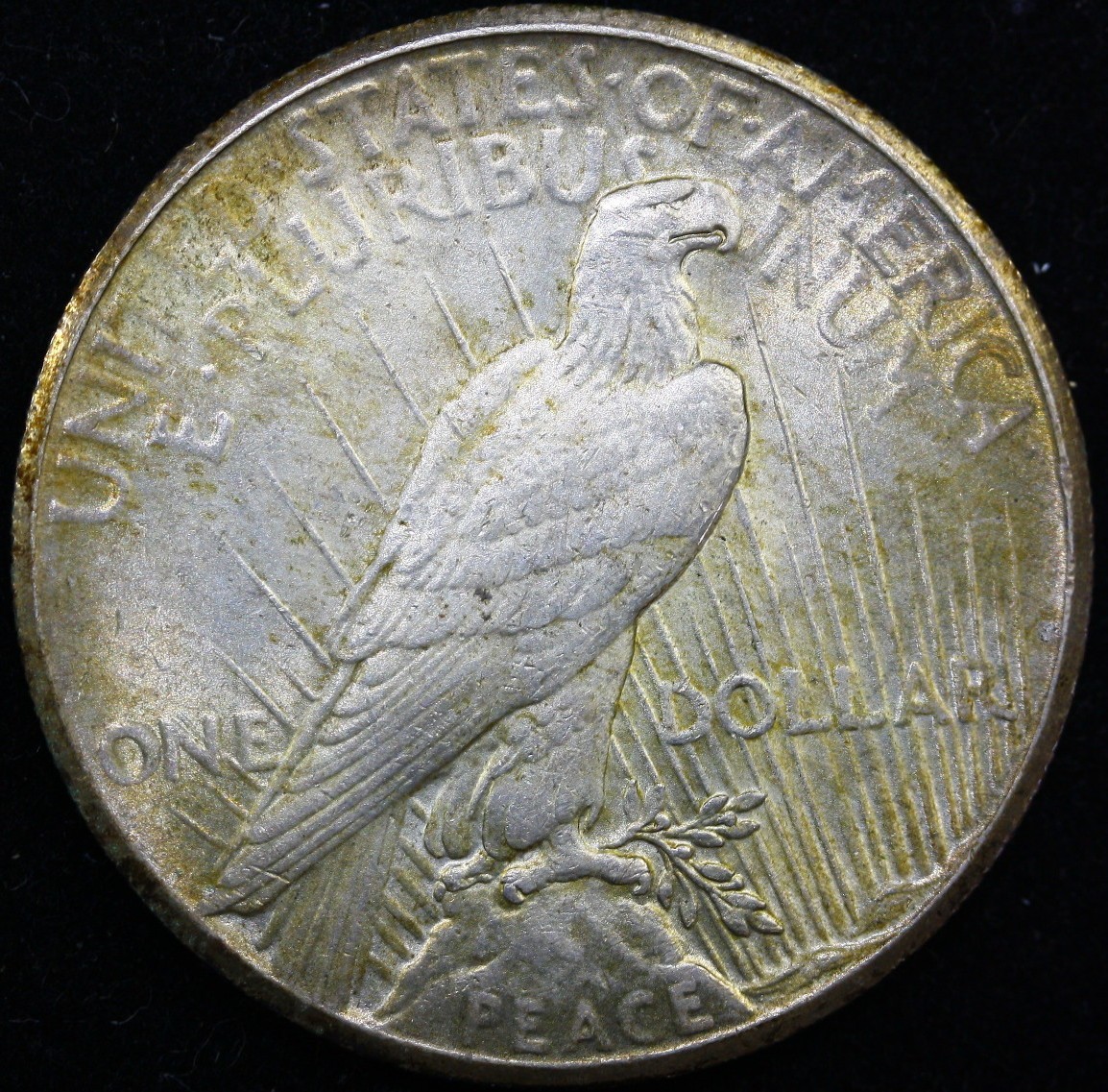 1926 P $1 Peace Silver Dollar Coin Uncirculated TONED #X5