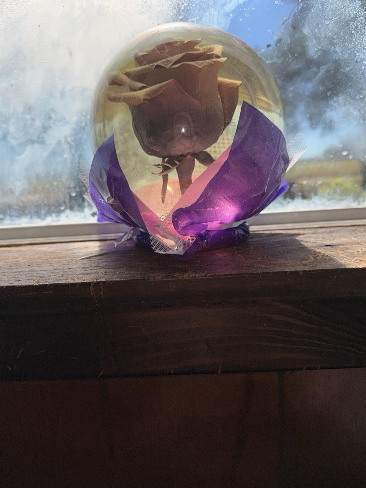 Rose In A Globe