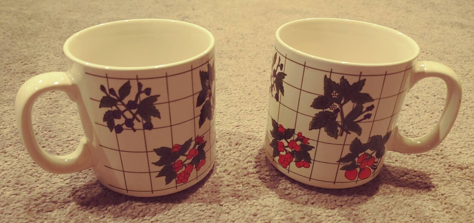 2 Coffee Mugs ~ Decorative ~ Fruit