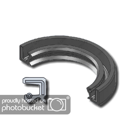 EAI Metric Oil Shaft Seal 17X30X5mm Dust Grease Seal TC Double Lip w/ Spring