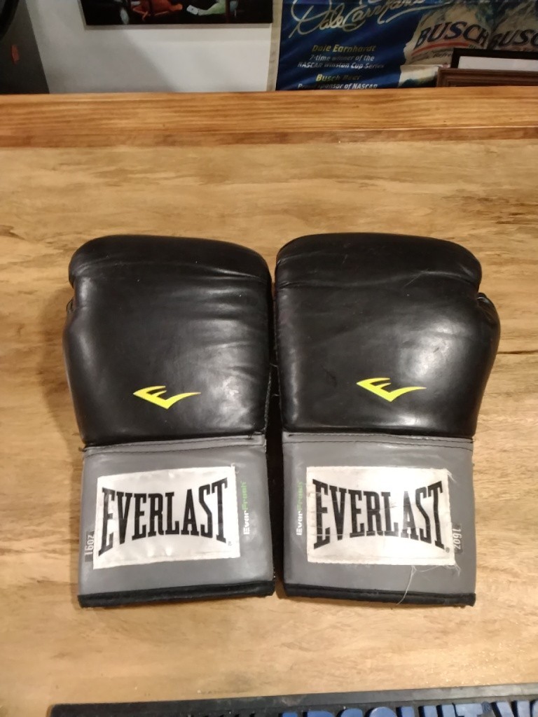 Everlast 16oz Pro Style Training Boxing Gloves Black EVERFRESH Odor Blocking