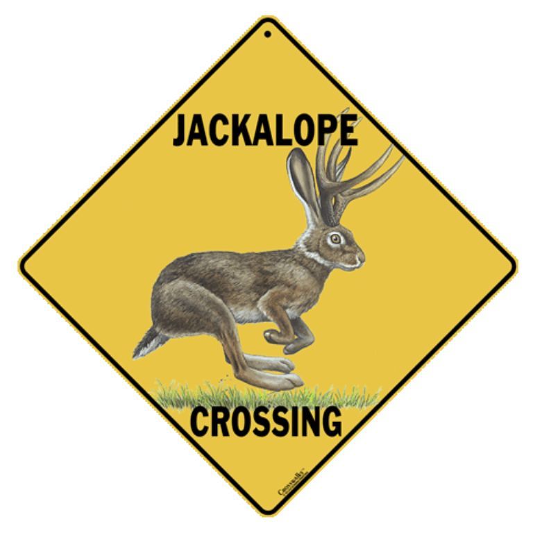 Jackalope Crossing Sign NEW 12x12 Metal