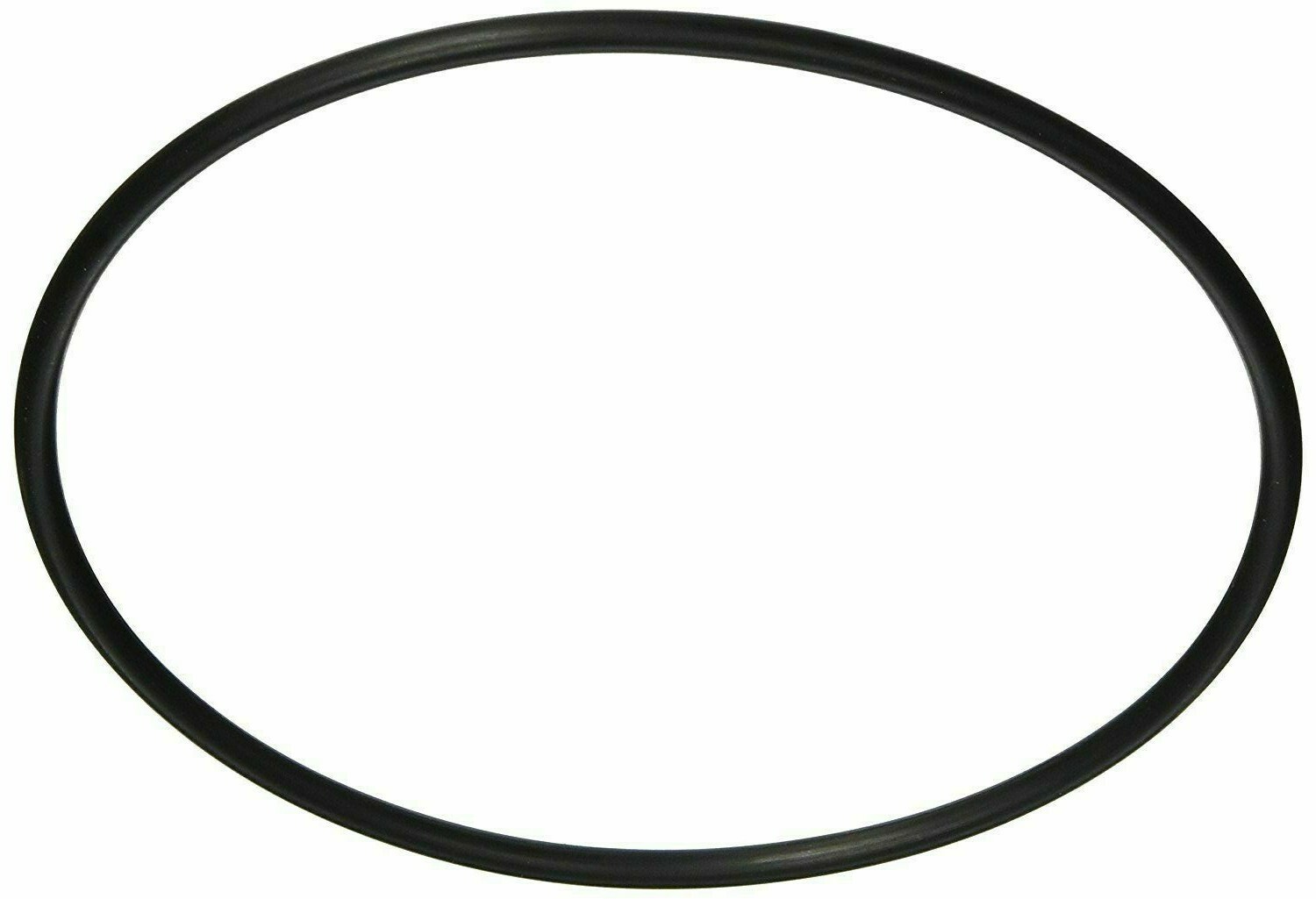 Pentair Hayward W530 W560 In-Line Leaf Trap Canister O-RING AXW542 R172223