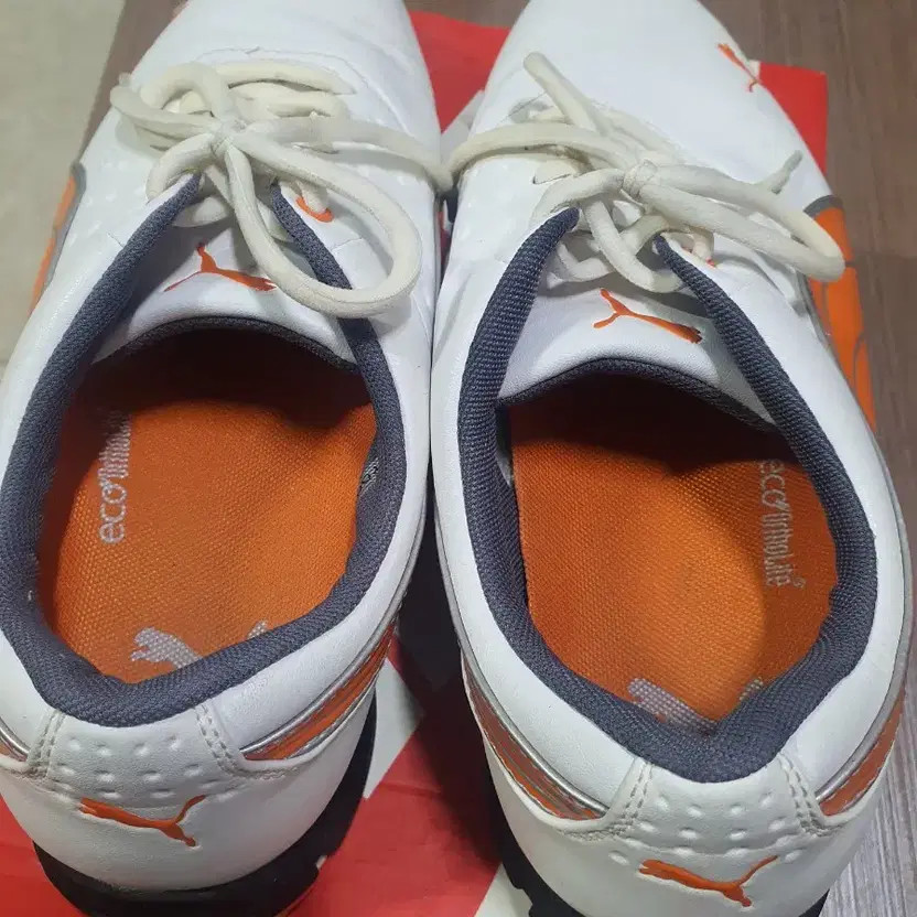 Puma Men's Golf Shoes Size 260 Lightly Used