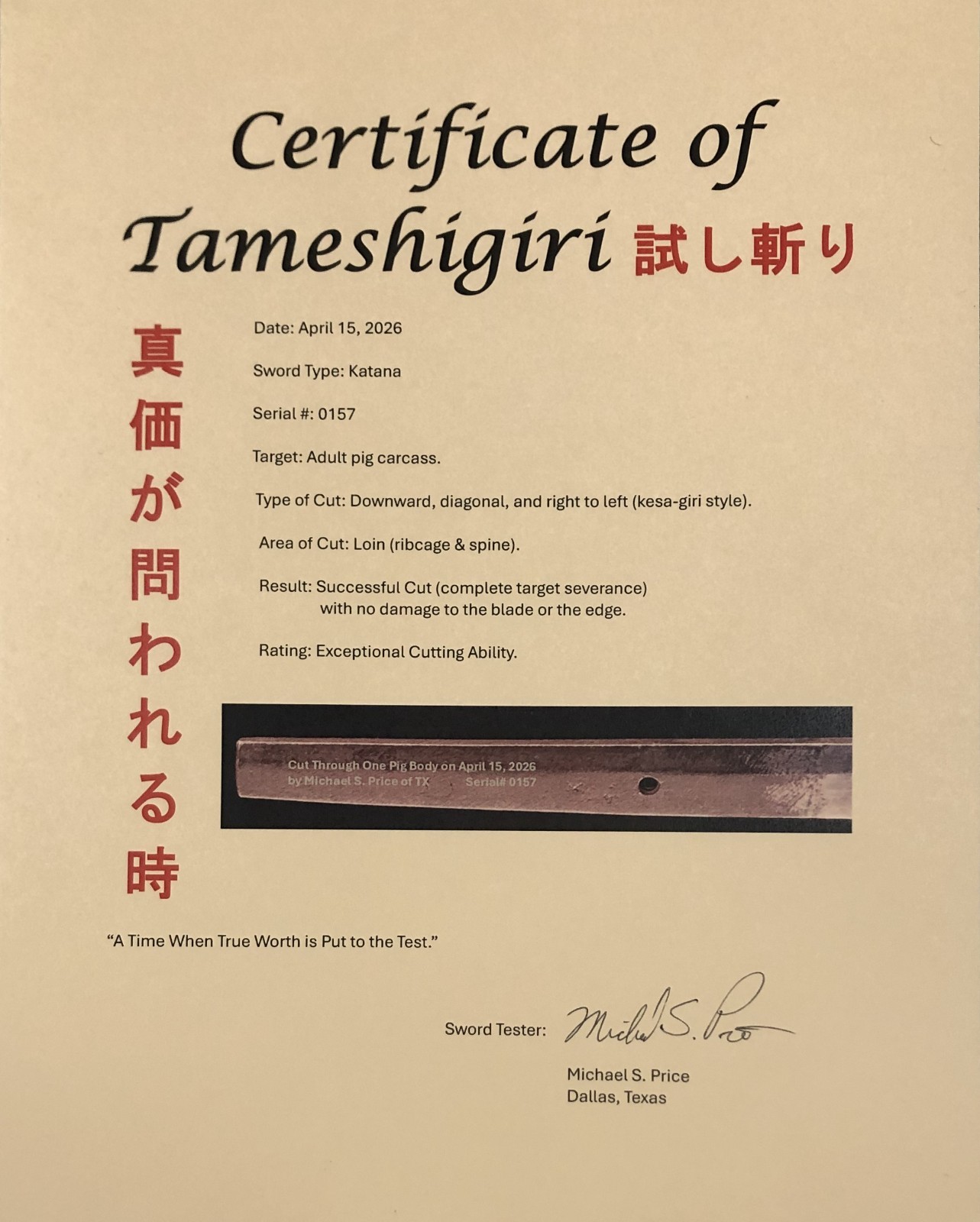Tameshigiri Service for Katana / Samurai Swords