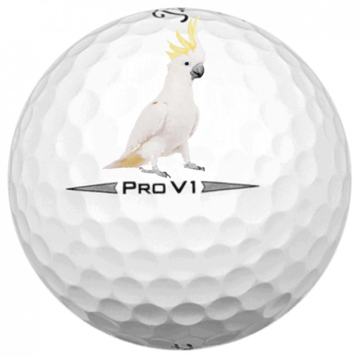 Titleist Pro V1 2020 White 24 5A Pro V1 AAAAA 2020 Used Washed Only Titleist V1