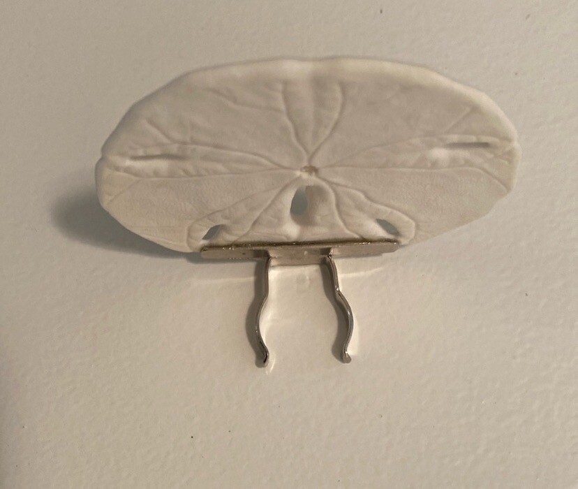 Hand-Crafted Real Sand Dollar Night Light