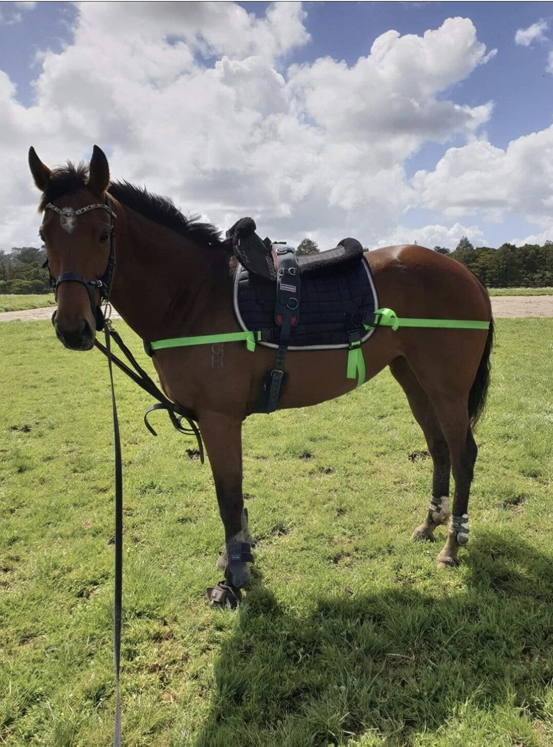 ETS Equi Trainer Horse Lunge System