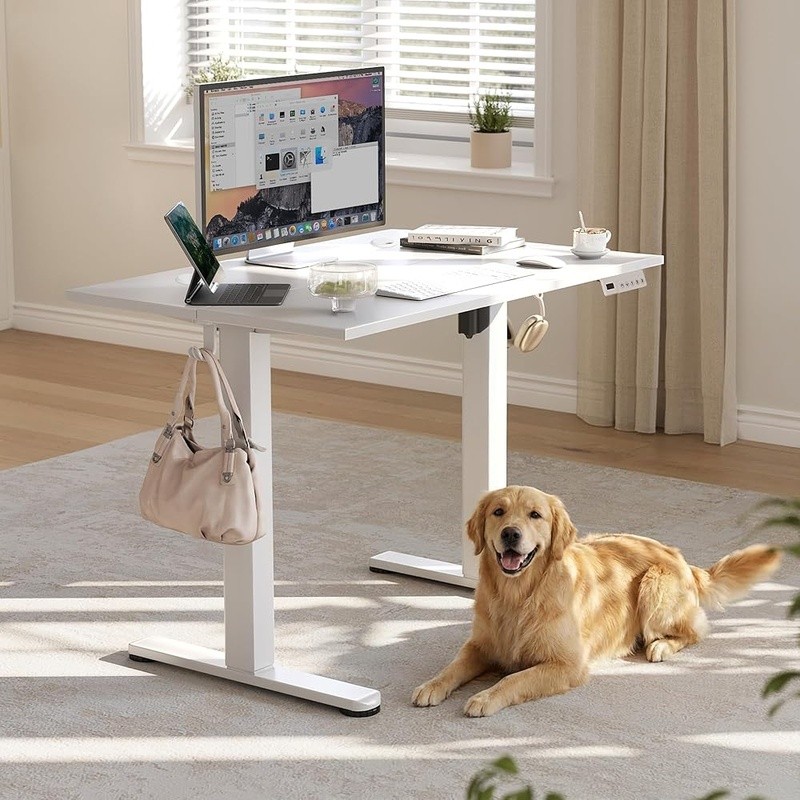 Electric Height Adjustable Desk Ergonomic Standing Workstation Memory Presets US