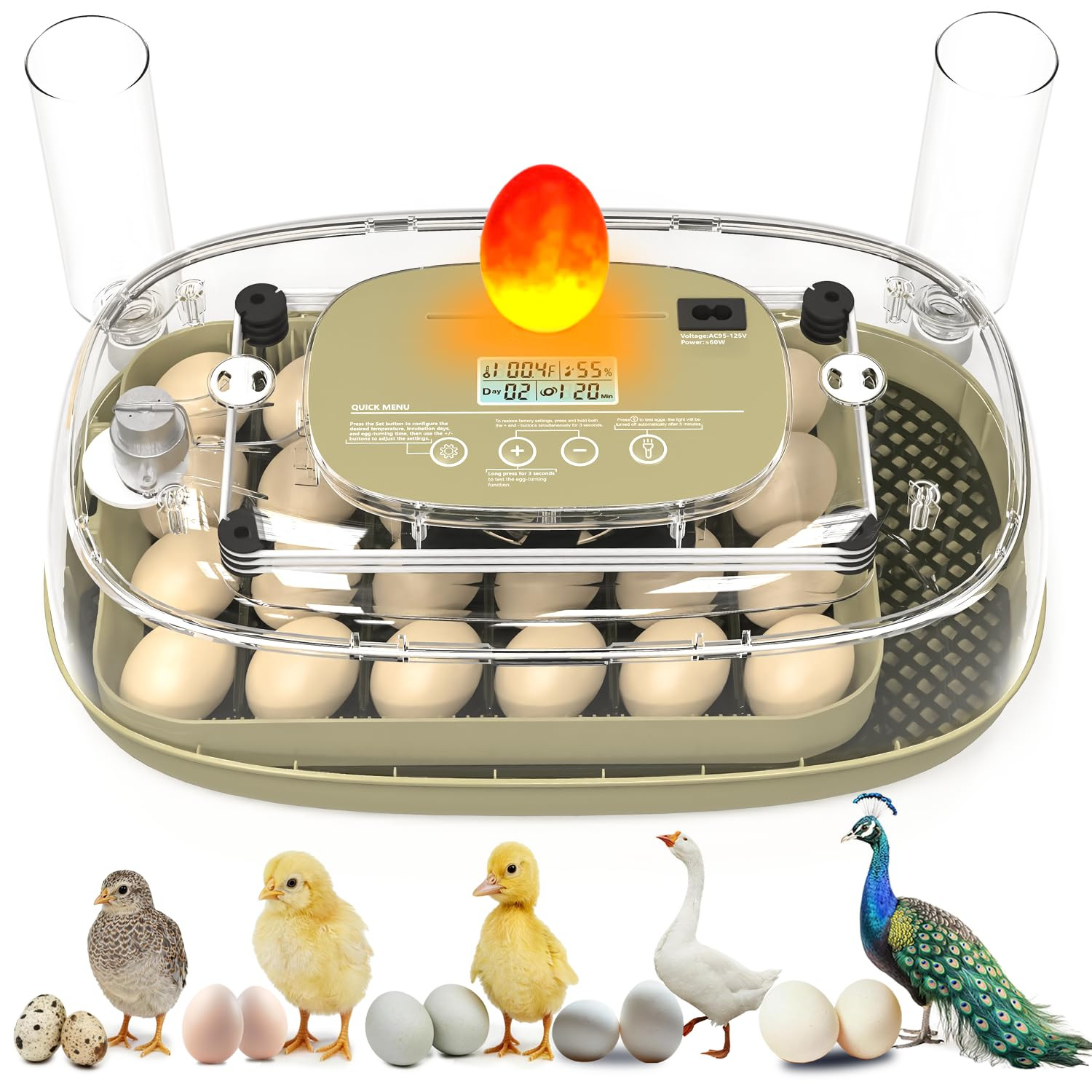 Incubators for Hatching Eggs,24 Eggs Capacity with Automatic Turning, Accurate T